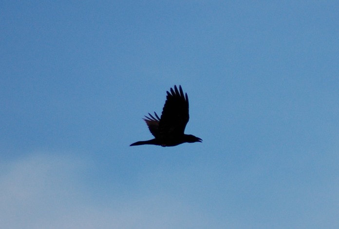 DSC_0752.JPG kopie